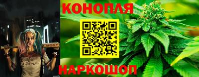 PSILOCYBIN Пушкино
