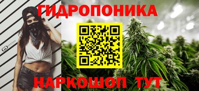хмурый Пугачёв