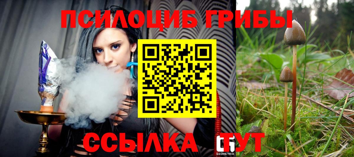 Псилоцибиновые грибы Psilocybine cubensis  Вход с VPN  Новый Уренгой 